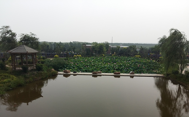 沈阳墓园