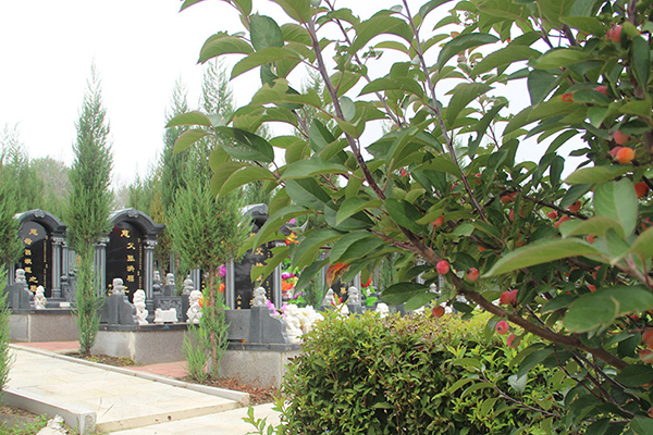 沈阳墓地