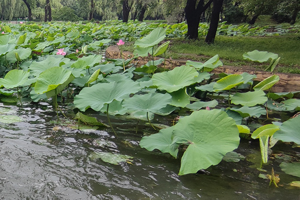 上风上水的沈阳龙生墓园——大美辽河陵园