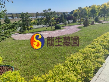 沈阳陵园花坛葬的园艺维护具体包括哪些内容和方法呢？