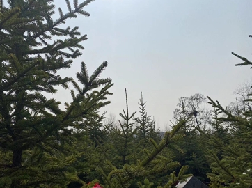 汇聚沈阳墓园奋进力量，沈阳墓地购墓流程惠民服务！