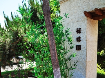 沈阳墓园辽河旁的生态陵园，依山傍水的龙生墓园墓地！