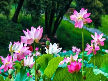 沈阳公墓文化传承——永恒记忆，历久弥新