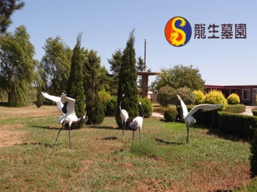 沈阳墓园选择攻略-避开营销陷阱的实用指南
