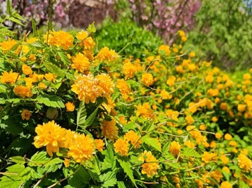 沈阳公墓：艺术的宫殿，人生的后花园