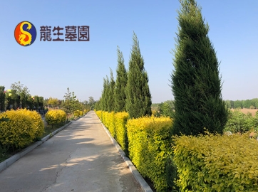 购买沈阳公墓前必备殡葬知识：全面了解，明智选择